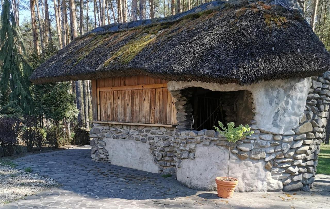 Noclegi Pod Borem Kepno Exterior photo